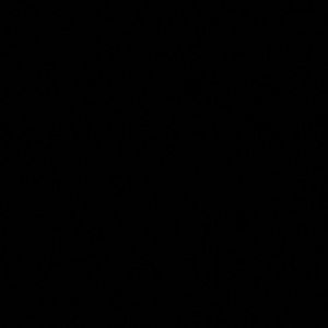 Meet your Posher, Lia